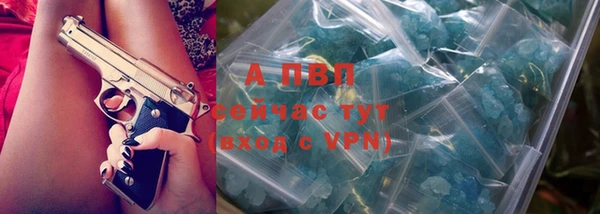 бошки Осинники