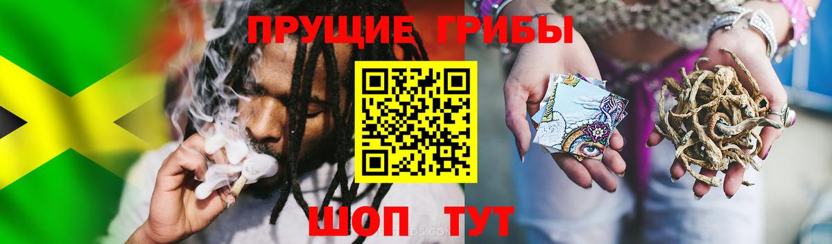 Солнечногорск  Псилоцибиновые грибы MAGIC MUSHROOMS  Вход с VPN  Галлюциногенные грибы мицелий 